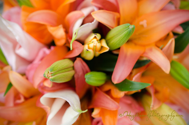 Emerald-Isle-NC-Wedding