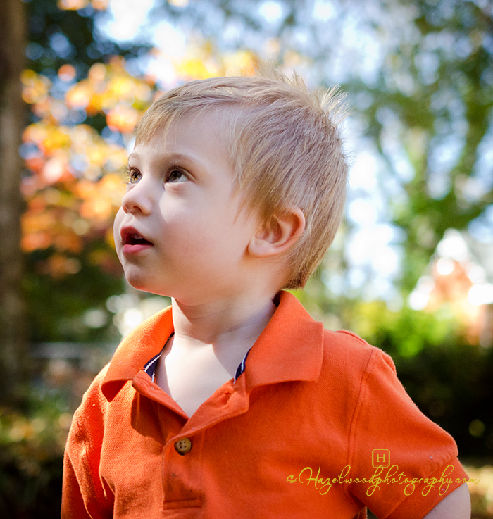 Wilmington Wedding Photography portrait-photographers-in-winston-salem