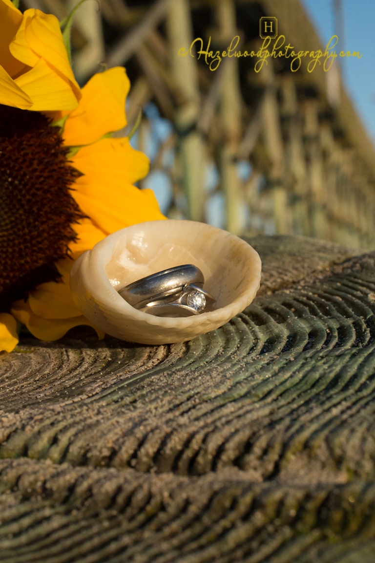 Surf-City-NC-Ocean-Pier--weddings-beach-portraits