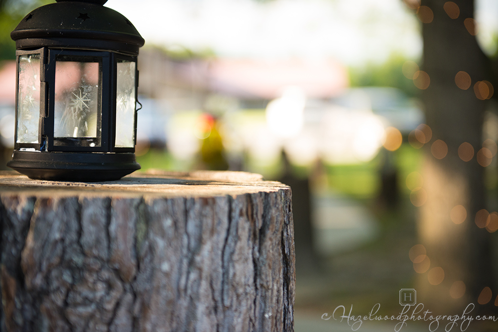 equine-country-jacksonville-nc-weddings