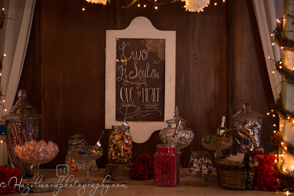 equine-country-jacksonville-nc-weddings