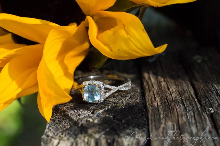 wedding-photographers-in-Roanoke-va