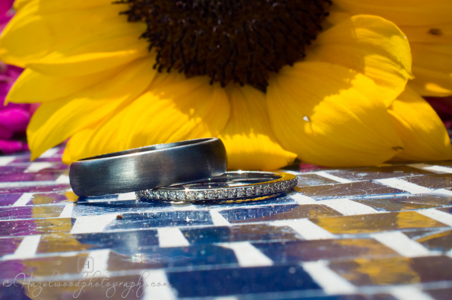 wedding-photographers-in-winston-salem-nc