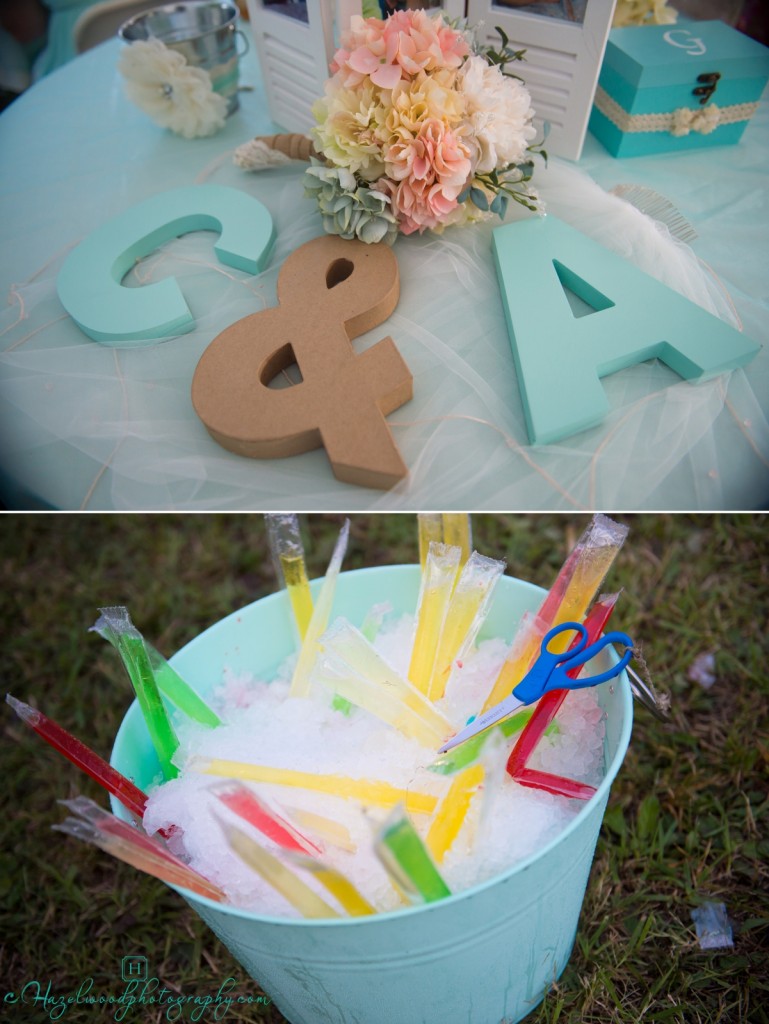 mount-airy-nc-wedding-photographers