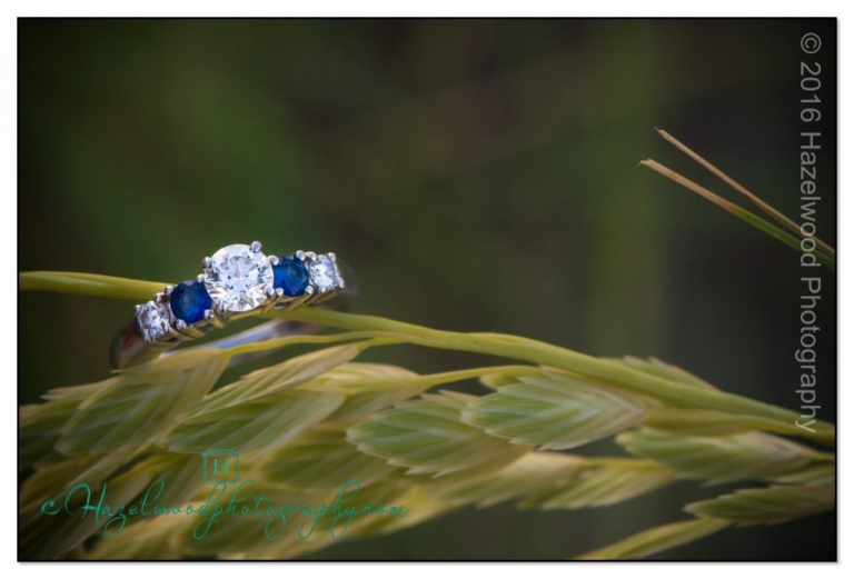 Wilmington-arboretum-wedding 