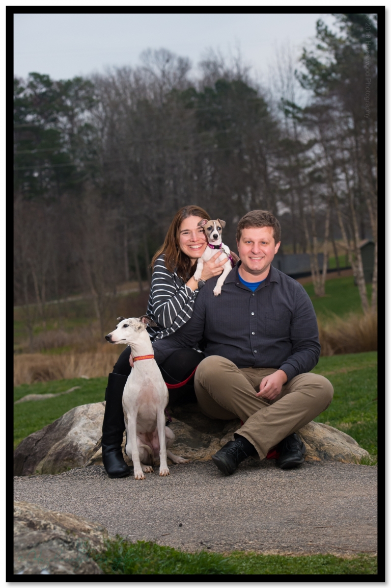 NC-meuseum-of-art-engagment